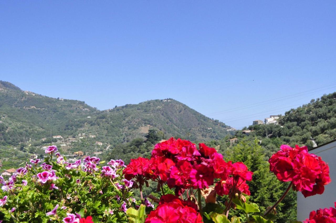 Borgo San Francesco Ξενοδοχείο Gioiosa Marea Εξωτερικό φωτογραφία